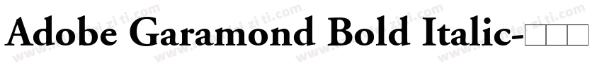 Adobe Garamond Bold Italic字体转换